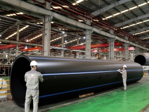 Hải Phòng thúc đẩy năng suất, chất lượng dựa trên khoa học, công nghệ và đổi mới sáng tạo