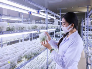 Tổ chức chuỗi hoạt động chào mừng Ngày Khoa học, Công nghệ và Đổi mới sáng tạo Việt Nam 2026 
