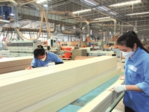 Năng suất trong ngành gỗ: Khi doanh nghiệp “số hóa từng tấm ván” để đi xa hơn thị trường xuất khẩu
