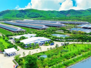 Carbon footprint: Chỉ số mới đang thay đổi cách doanh nghiệp sản xuất