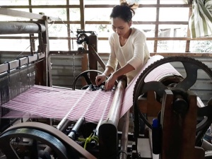 Đổi mới phương thức sản xuất để nâng cao năng suất chất lượng 