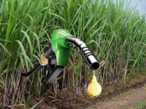 Nhật Bản đề xuất tiêu chuẩn khí thải mới cho nguyên liệu ethanol nhập khẩu 