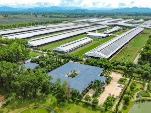Khi báo chí trở thành cầu nối của chuyển đổi xanh