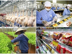 TCVN ISO 22003-1:2025 tạo nền tảng cho hoạt động chứng nhận an toàn thực phẩm minh bạch, hiệu quả