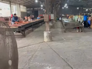 Truy xuất nguồn gốc – 'tấm vé thông hành' giúp doanh nghiệp Thanh Hóa chinh phục thị trường xuất khẩu