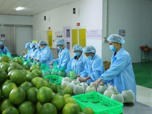 Từ tiêu chuẩn đến thị trường quốc tế: Hành trình nâng cao chất lượng hàng hóa