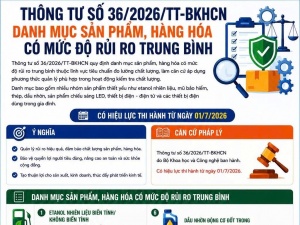 Mũ bảo hiểm, dầu nhờn, đèn LED... thuộc nhóm hàng hóa rủi ro trung bình