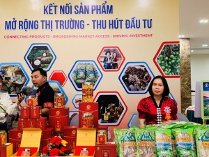 Nâng chuẩn OCOP để gia tăng chất lượng và sức cạnh tranh sản phẩm