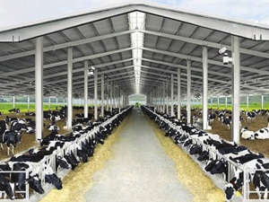 Chuỗi cung ứng lạnh: Vì sao một sai lệch nhỏ có thể phá vỡ toàn bộ chất lượng sản phẩm?