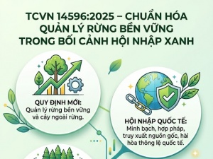 TCVN 14596:2025: Nâng chuẩn quản lý rừng trong chuỗi cung ứng xanh