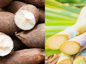 Lưu ý khi chọn mua các sản phẩm mì chính trên thị trường