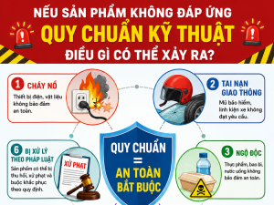 Bài 4: Chuyện gì xảy ra nếu sản phẩm không đáp ứng quy chuẩn kỹ thuật?