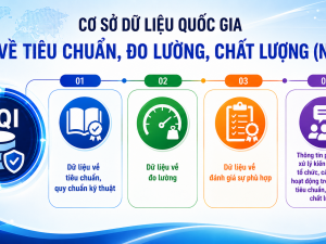 4 nhóm dữ liệu trọng tâm tích hợp trên cơ sở dữ liệu quốc gia về TCĐLCL