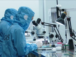 Định hình tư duy năng suất mới để bứt phá