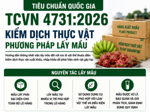 TCVN 4731:2026 hướng dẫn kiểm dịch thực vật, phát hiện sớm sinh vật gây hại nông sản