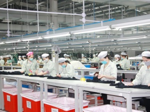 Phát huy vai trò của tiêu chuẩn, nâng cao năng lực cạnh tranh doanh nghiệp