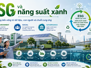 ESG không dừng ở cổng nhà máy: Khi năng suất xanh đi vào chuỗi cung ứng