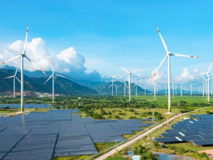 TCVN 10687-12-5:2025: Chuẩn hóa quy trình đánh giá địa hình thử nghiệm công suất tuabin gió