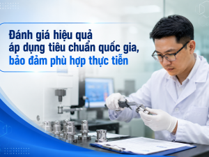 Đánh giá hiệu quả áp dụng tiêu chuẩn quốc gia, bảo đảm phù hợp thực tiễn