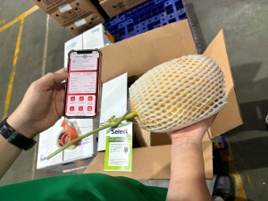 Thí điểm truy xuất nguồn gốc - Saigon Co.op mạnh tay trong công tác quản lý chất lượng