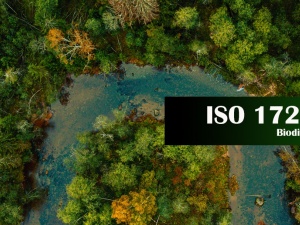 ISO 17298: Tích hợp đa dạng sinh học vào quản trị doanh nghiệp