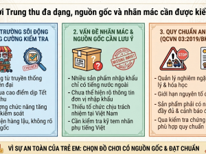 Đồ chơi trẻ em dịp Trung thu đa dạng, nguồn gốc và nhãn mác được kiểm soát chặt chẽ