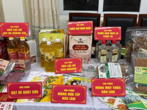 Cao Bằng nâng cao năng lực quản lý tiêu chuẩn, chất lượng từ cơ sở