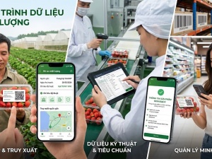 Bài 1: Khi chất lượng không còn nằm trên giấy
