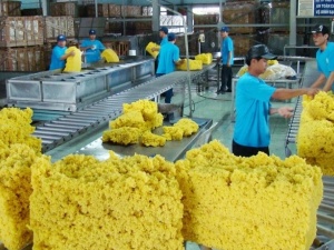 Tiêu chuẩn hoá cao su khử Protein từ hoá học xanh hướng tới mục tiêu Net - Zero