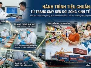 Khi tiêu chuẩn từ trang giấy bước ra đời sống