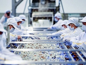 TCVN 13624:2023 thúc đẩy trách nhiệm xã hội trong chuỗi thực phẩm