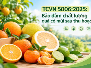 TCVN 5006:2025: Bảo đảm chất lượng quả có múi sau thu hoạch
