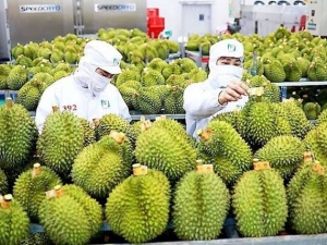 Tiêu chuẩn chất lượng đối với nông sản Việt Nam khi xuất khẩu sang Trung Quốc