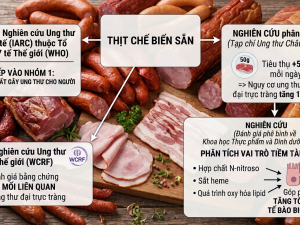 Thịt chế biến sẵn: Cảnh báo nguy hiểm và vấn đề kiểm soát phụ gia theo tiêu chuẩn