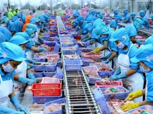 Thủy sản xuất khẩu: Chuẩn hóa chất lượng để giữ thị trường