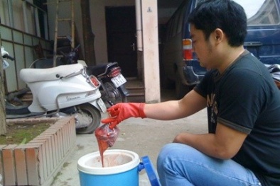 Mua bán nhau thai là bất hợp pháp