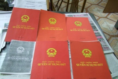 Làm sổ đỏ giả từ... phôi thật để lừa đảo