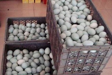 Trung Quốc: Phát hiện trứng có chất gây ung thư