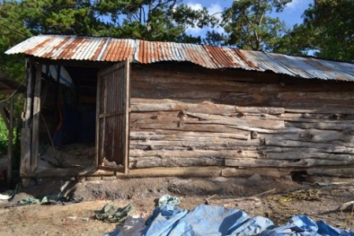 Đề nghị tiêu hủy 2 tấn da, xương trâu bò thối