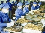 Phú Thọ: Cho doanh nghiệp khoa học vay vốn ưu đãi