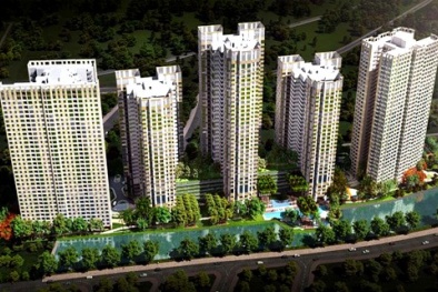 Bắt Tổng giám đốc Công ty đầu tư bất động sản