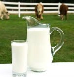Sử dụng và bảo quản sữa thế nào cho đúng?