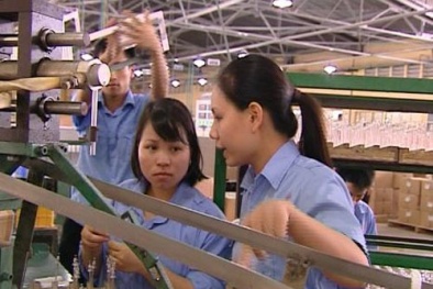 Kê khai, nộp thuế thu nhập đối với người thử việc