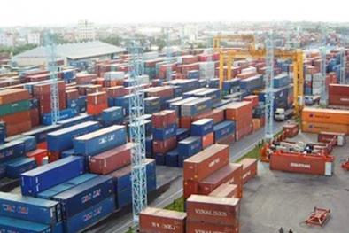 Phát hiện trên 200 container phạm pháp