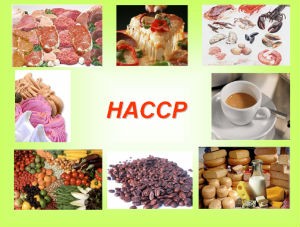 Đã áp dụng HACCP có nhất thiết phải chuyển đổi sang ISO 22000?