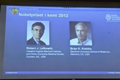 Nobel Hóa 2012: Cuộc cách mạng trong ngành dược phẩm