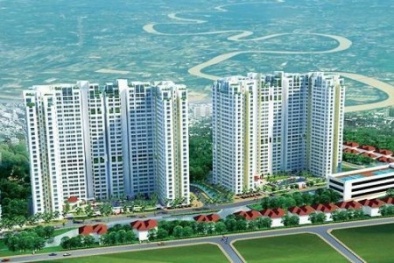 Mua bán chung cư: Kẻ tráo trở vẫn ngoài vòng pháp luật?