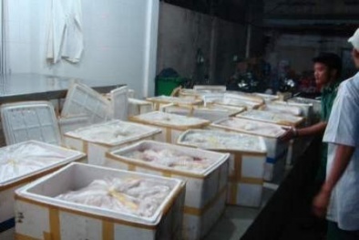 Vận chuyển nội tạng động vật Trung Quốc bằng máy bay