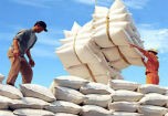 Việt Nam lên ngôi vị xuất khẩu gạo số 1 thế giới