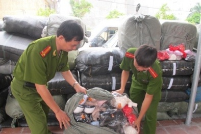 Đường đi của tổng đại lý áo ngực chứa "chất lạ"
